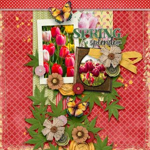 Spring Splendor