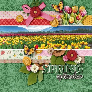 Spring Splendor