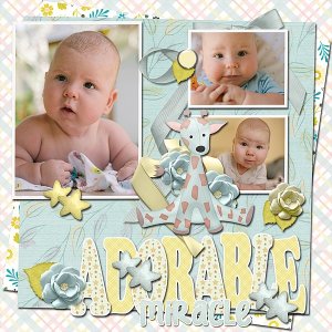 Adorable Miracle