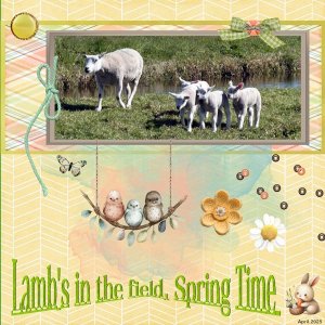 April 2025 - Font Challenge -Spring Time-Lamb's in the field-.jpg