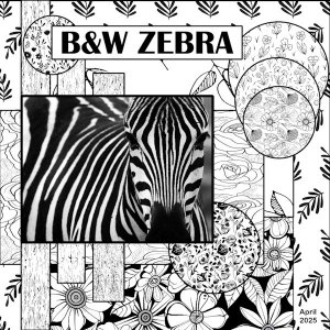 April 2025 - Wild About Styles -B&W-ZEBRA.jpg