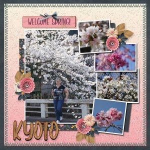 MSG_Woodland Spring_2-COPY.jpg