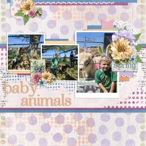 Baby Animals