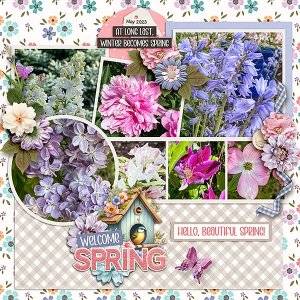 Spring-Flowers.jpg