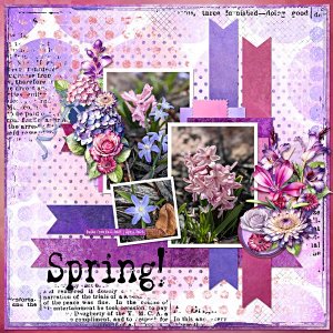 Spring!