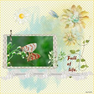 17 - April 2025 Inspiration Challenge - full of life.jpg