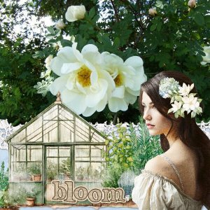 Roses.jpg