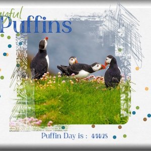 ATC-2025-036-Playful-Puffins