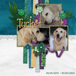 Tucker