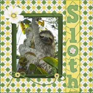 20 - April 2025 Layout Bingo -Sloth.jpg