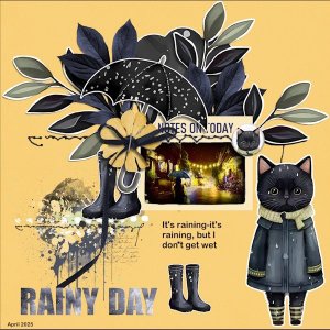 20 - April 2025 Layout Bingo -Rain-Rain.jpg