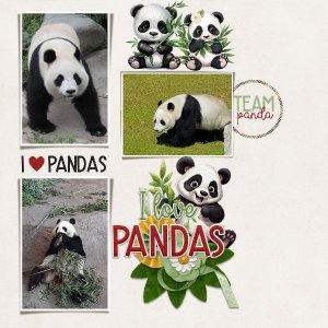 zoo visit