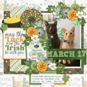 March-into-Spring-Luck-of-the-Irish.jpg
