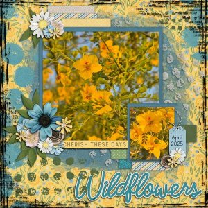 Wildflowers