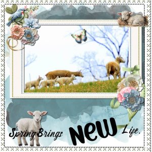 Spring Brings New Life