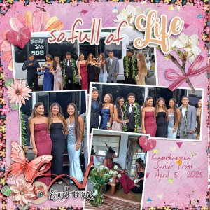 JrProm-webv.jpg