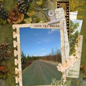 spring into the woods.jpg