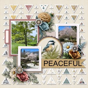 Gallery-PEACEFUL.jpg