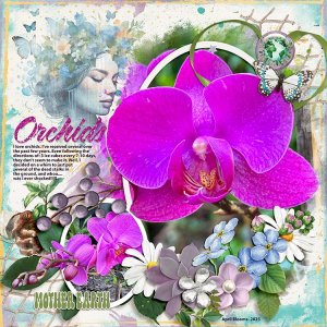 Orchid-2025-MFish_PeekABooBlends1_04-copy.jpg