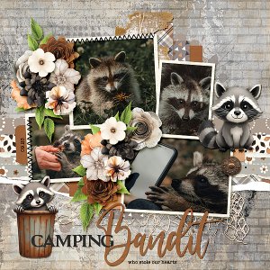 Camping Bandit