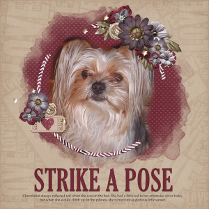 Strike A Pose