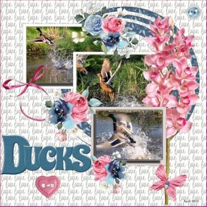 26 - April 2025 Scrap-Lift Challenge - Ducks.jpg