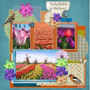 32 - April Template Challenge -2 -Tulipsfield in Holland.jpg