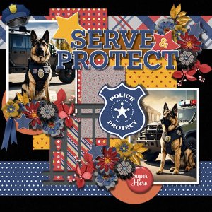 DLPatt_Serve&Protect_web.jpg