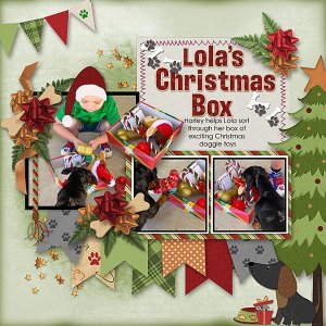 Lolas-Christmas-Box-copy.webjmb.jpg
