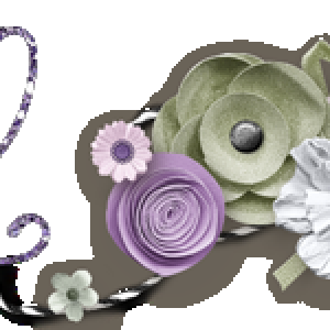 2025-04_TMS_ThisMonthFeb_Signature.png