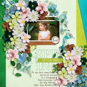 Capture the beauty of spring