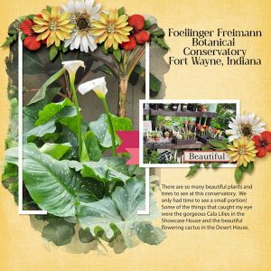 Fort-Wayne-Botanical-Gardens.jpg