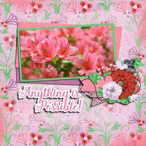 Spring Blooms
