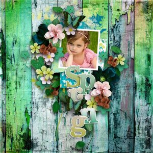 Capture The Beauty Of Spring