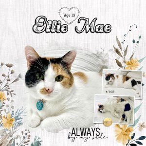 Ellie Mae13 Years