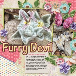 Furry Devil