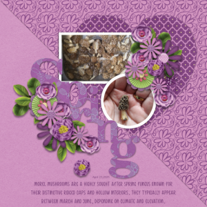 2025-04-GS_photography.png