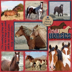 Wild Horses