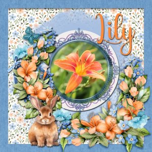 Lilies