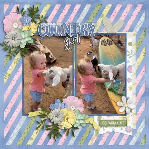 Farm Chick-Aimee Blueprints 10 Temp #4-JConlon