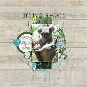 It's In Our Hands
