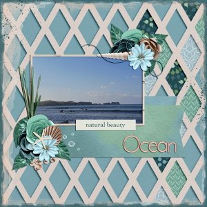 the beauty of the ocean