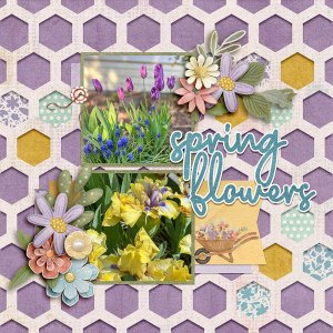 Spring-Flowers.jpg