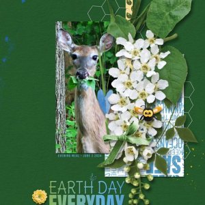 Earth-Day Everyday