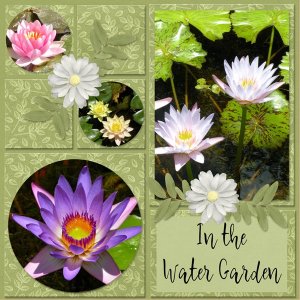In the water garden