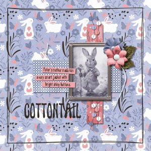 DLPatt_Cottontail_web.jpg