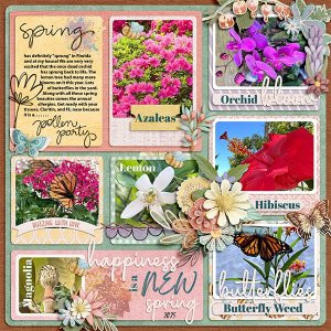 Spring-in-Florida-MFish_StoryBlocks5_03-copy600.jpg