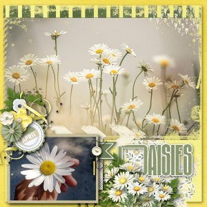 This Month April