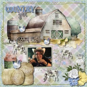 Farm Chick