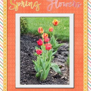 Spring-Flowers